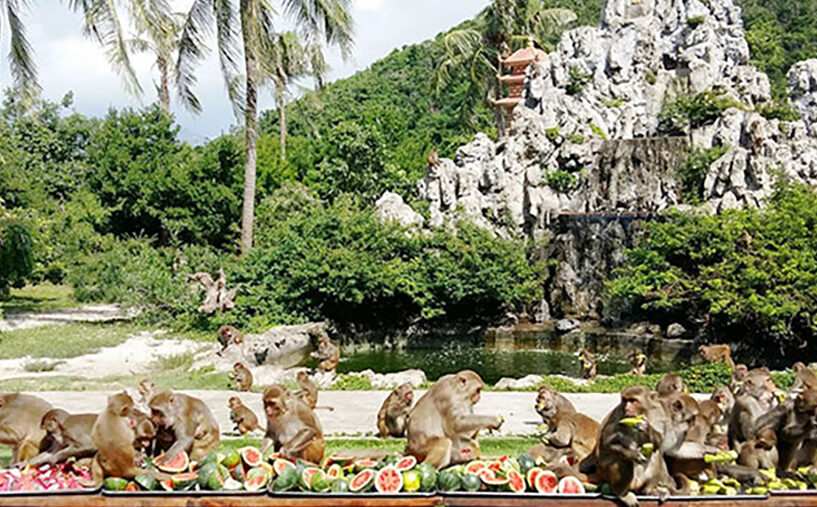 Đảo Khỉ Nha Trang