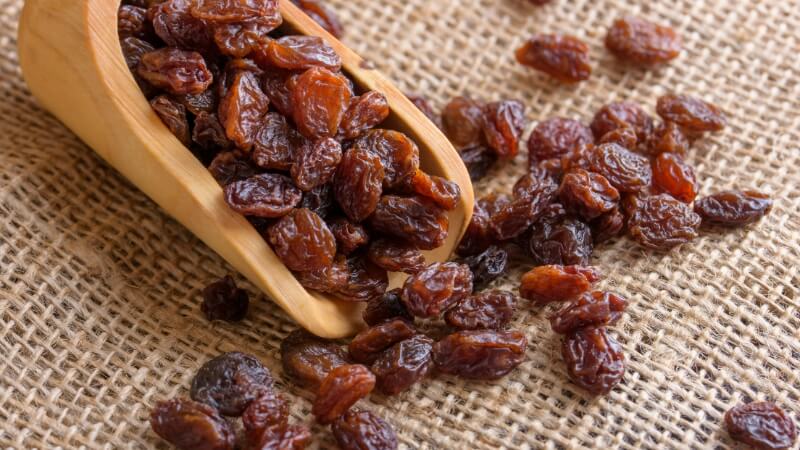 Vườn nho Ninh Thuận