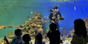 Viện Hải Dương Học Nha Trang