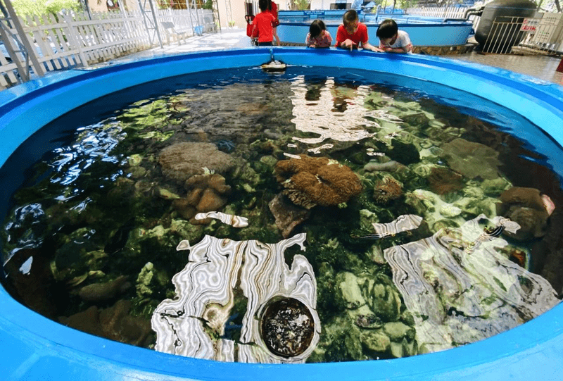 Viện Hải Dương Học Nha Trang