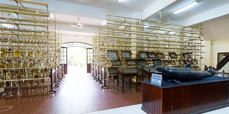 Khu đa dạng sinh học biển viện Hải Dương Hoc